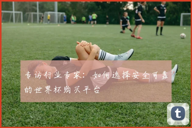 专访行业专家：如何选择安全可靠的世界杯购买平台